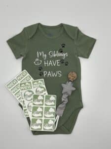 Setje Romper/speenkoord/stickers met naam My siblings